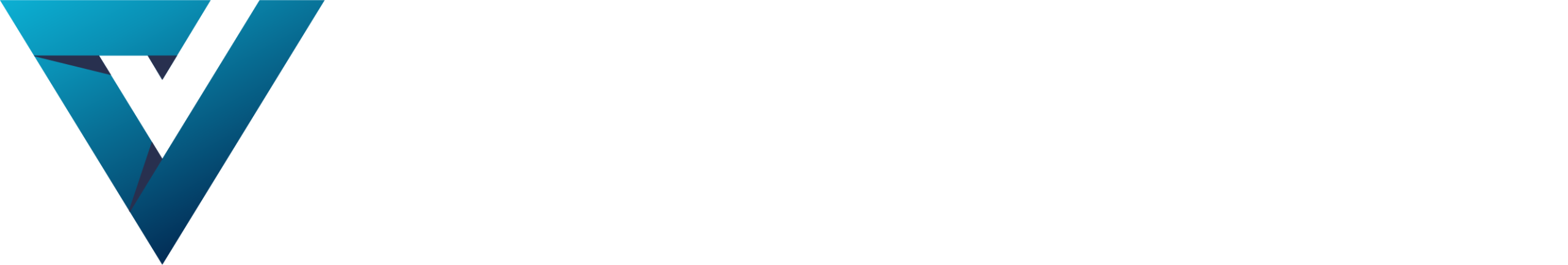 ValidaTek Logo